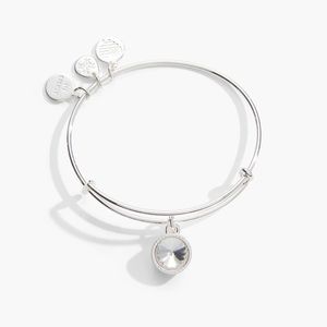 Alex and Ani April Birthstone Charm Bangle / Clear Crystal